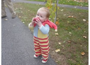 walker apple