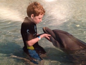 walker dolphin