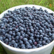 blueberries
