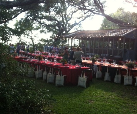 feast field 3