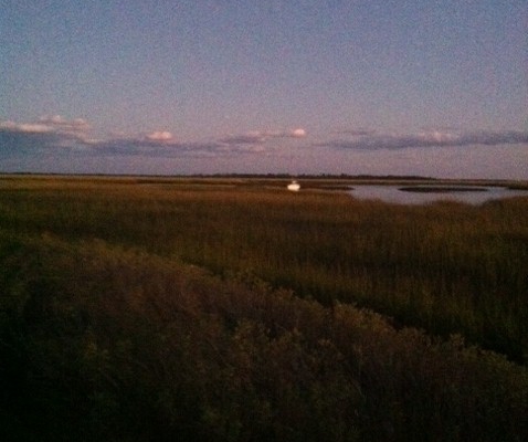 feast field 4