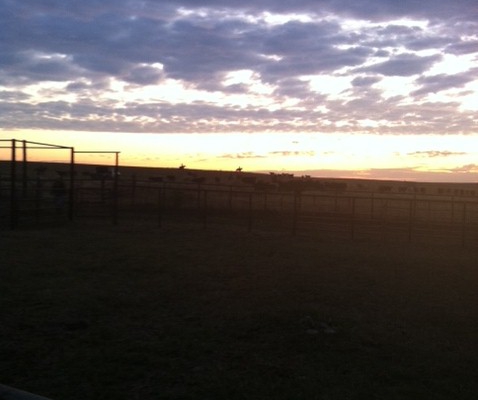 sunrise and cowboys