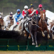 charleston cup 2