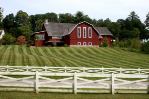 bberry farm 1