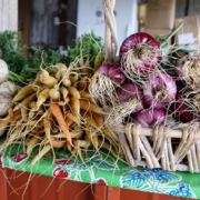 Farm Tour