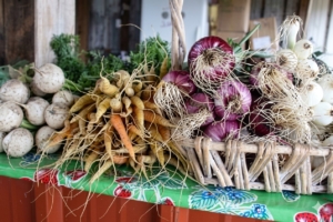farm tour