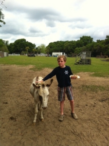 farm tour 2