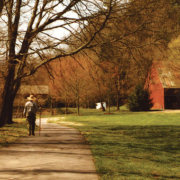 blackberry farm fall
