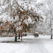 taft snow