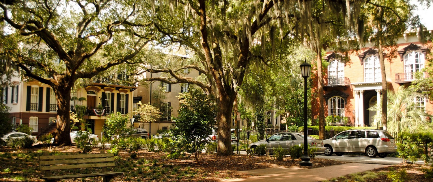 savannah